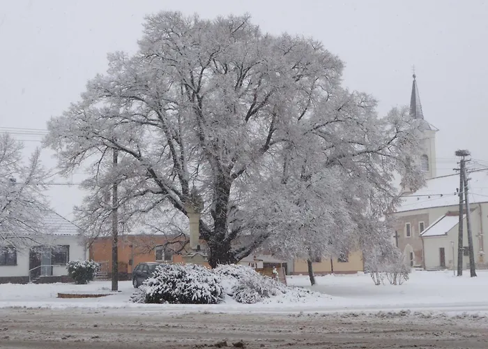 Hidlab Mobil Apartament