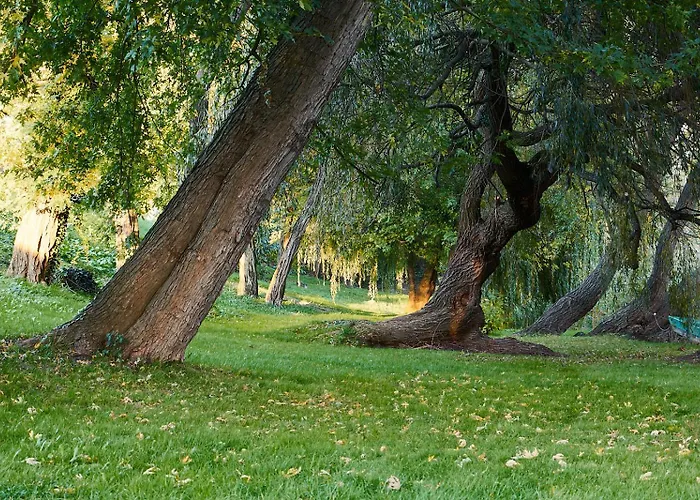 Hidlab Mobil * Kimle