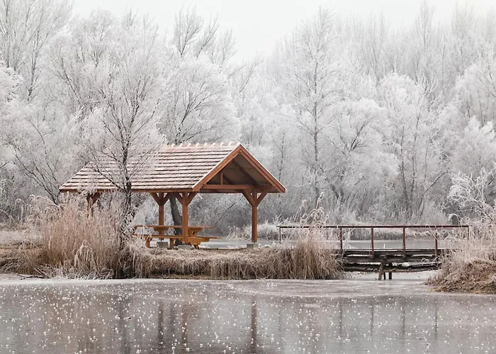 Apartament Hidlab Mobil Kimle